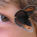 WWF Auencamp