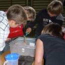Umweltbildung