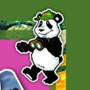 Young Panda