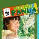 Young Panda