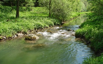 Ebbsbach